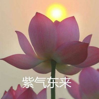 爆点联萌游戏